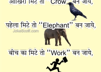 Aakhiri mite to Crow ban jaye - puzzle