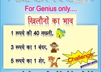 puzzle (Paheli), Khilaune ka bhav