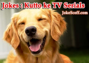 Dogs TV Serials Joke