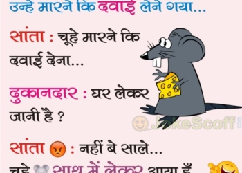 Jokes in Hindi Language