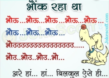 Funny Jokes