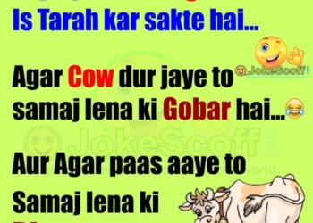 dimag ka test funniest jokes mind test jokes hindi