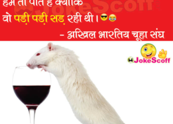 Rats drink alcohol in bihar funny shayari