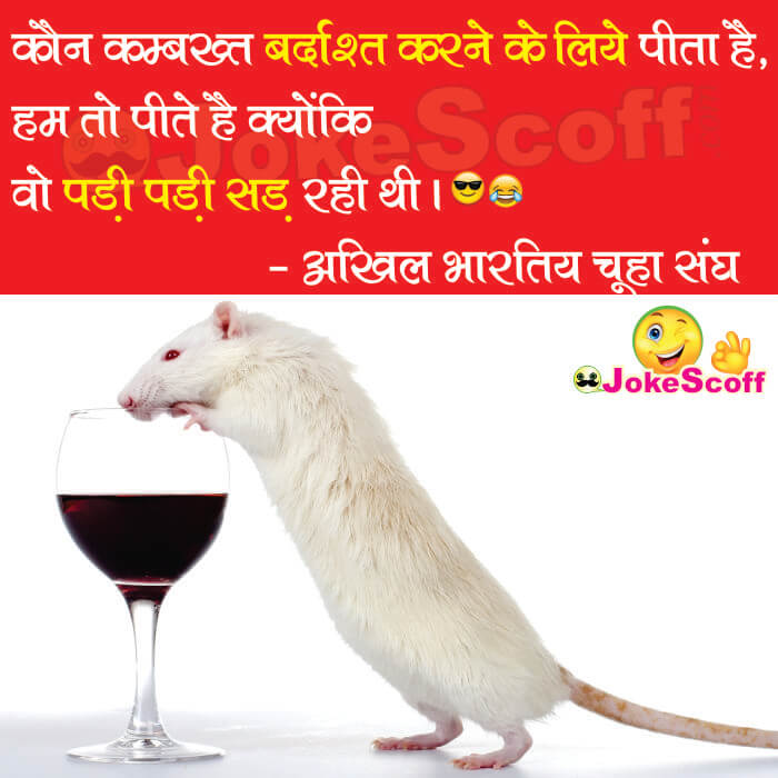 Rats drink alcohol in bihar funny shayari