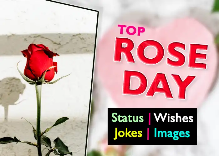 Happy Rose Day Status in Hindi
