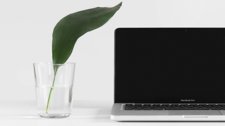 Sustainable Business