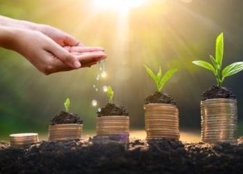 Assured Return Investment