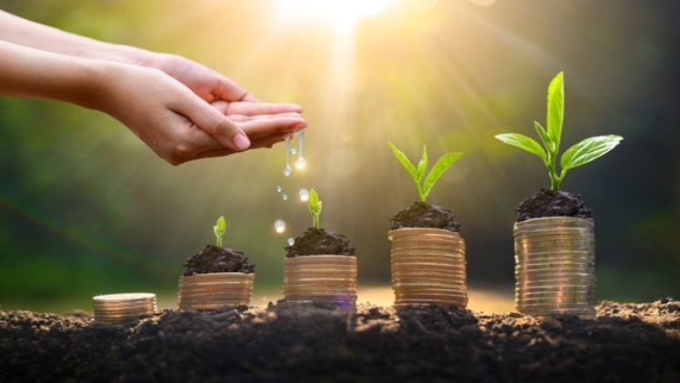 Assured Return Investment