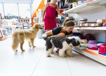 Pet Franchise