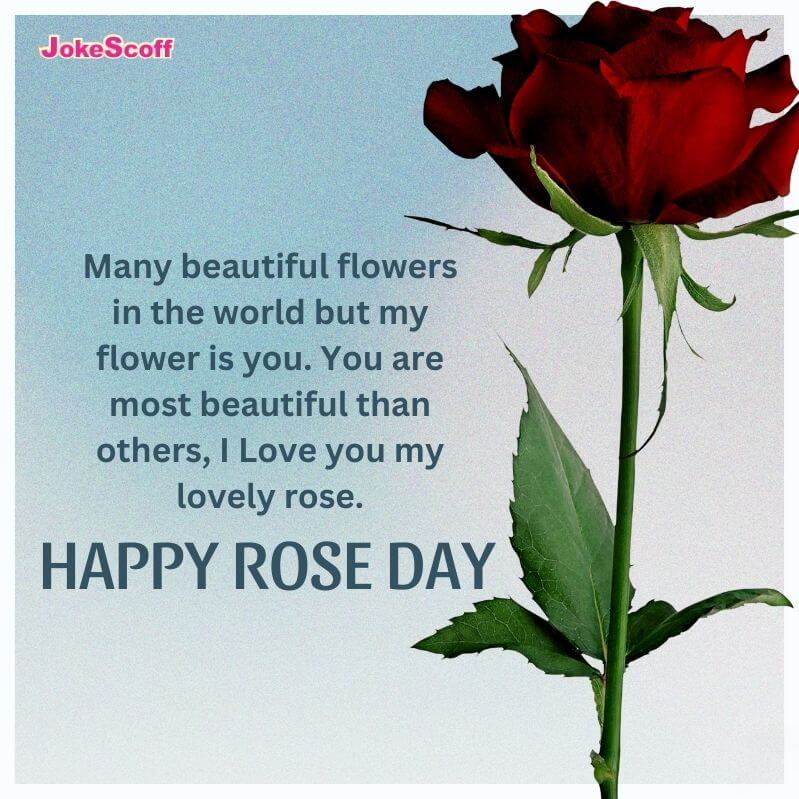 Happy Rose Day Status