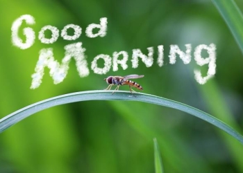 today special good morning images