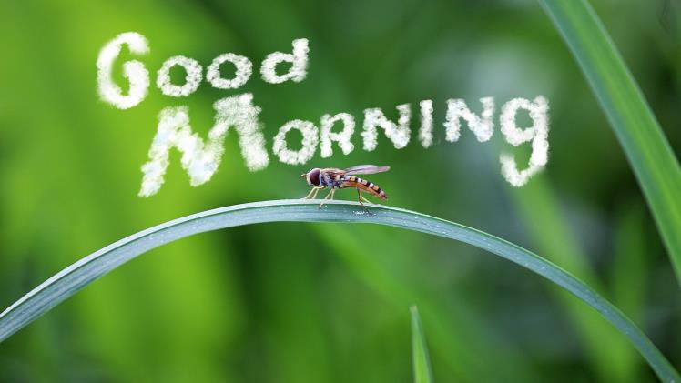 today special good morning images